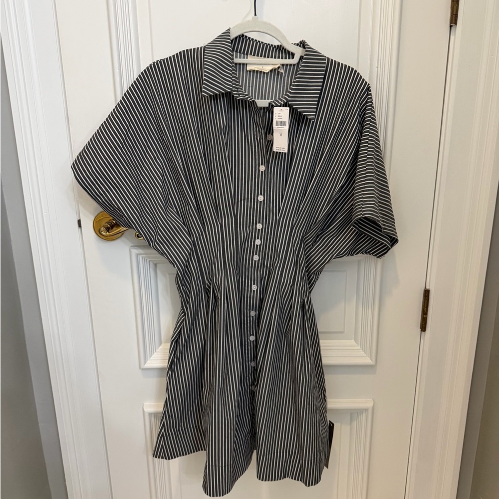 Anthropologie Black and White Striped Mini Dress